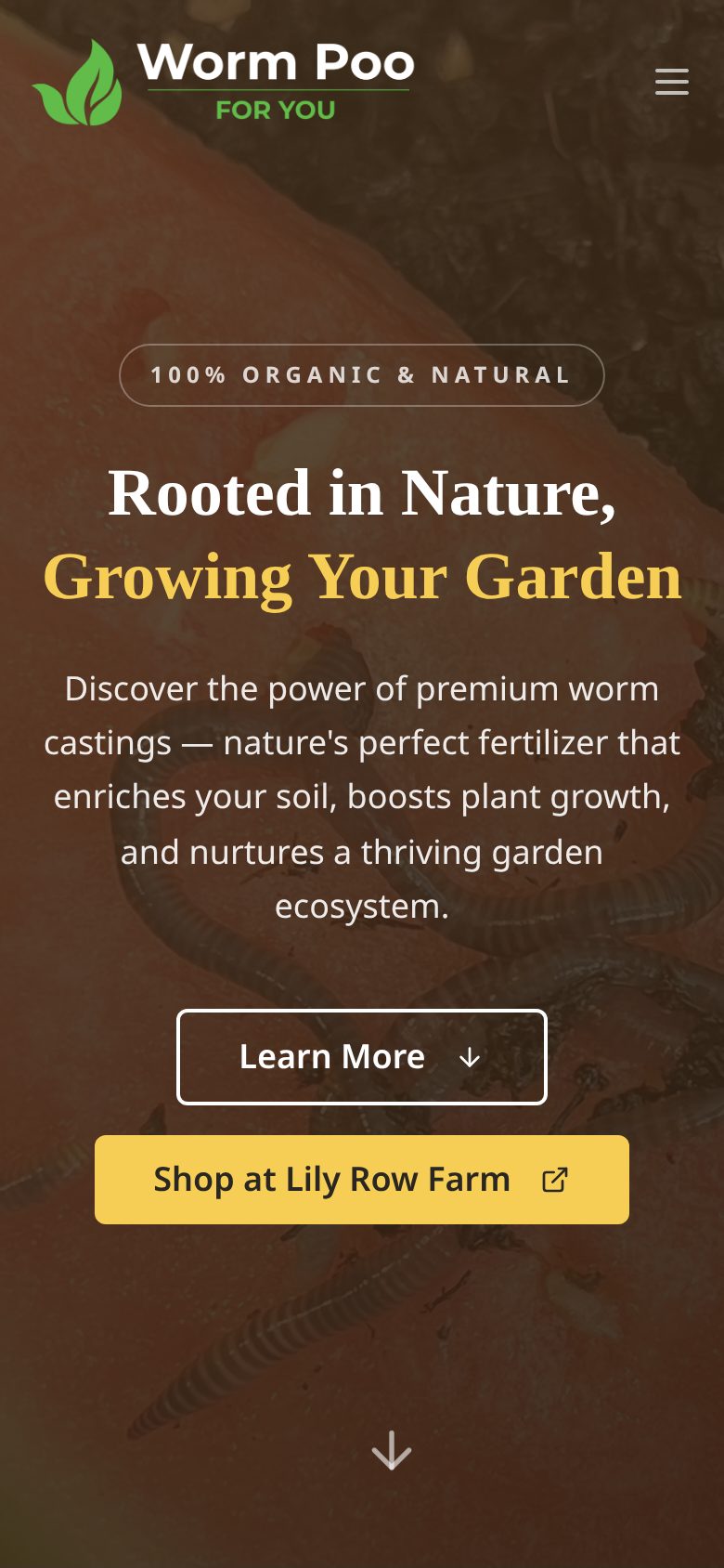 Worm Poo For You home page on a phone with the headline, description, and stacked Learn More and Shop at Lily Row Farm buttons.